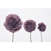 SOLA ROSE COLORS 4" (16" stem) Lilac 